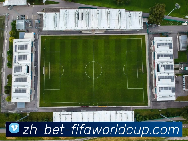 2026世界杯投注平台生态图